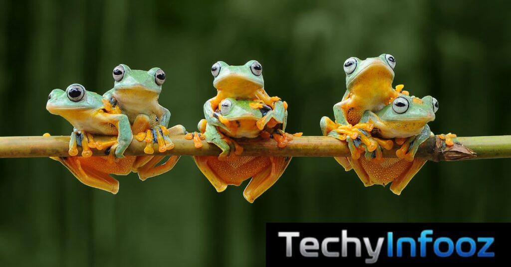 Frog Puns